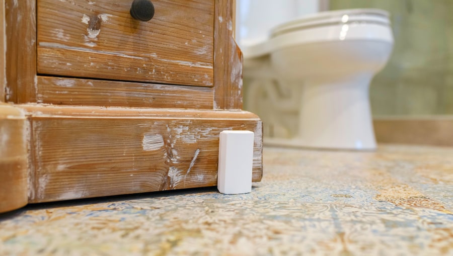 flood detector Scottsdale
